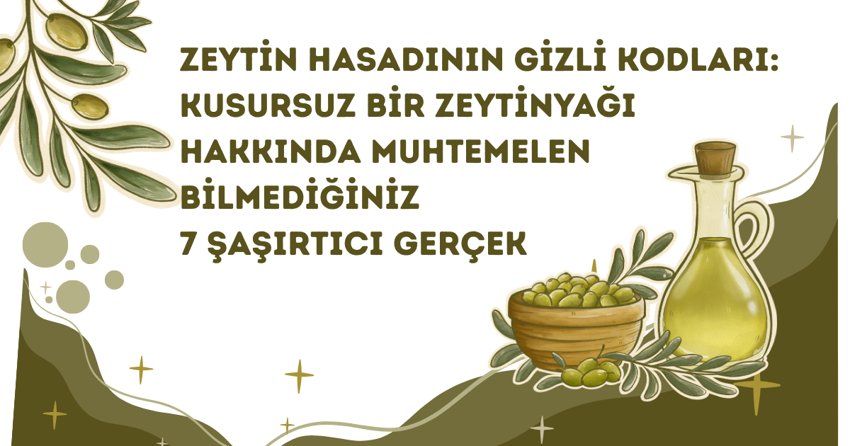 Zeytin Hasadının Gizli Kodları: Kusursuz Bir Zeytinyağı Hakkında Muhtemelen Bilmediğiniz 7 Şaşırtıcı Gerçek