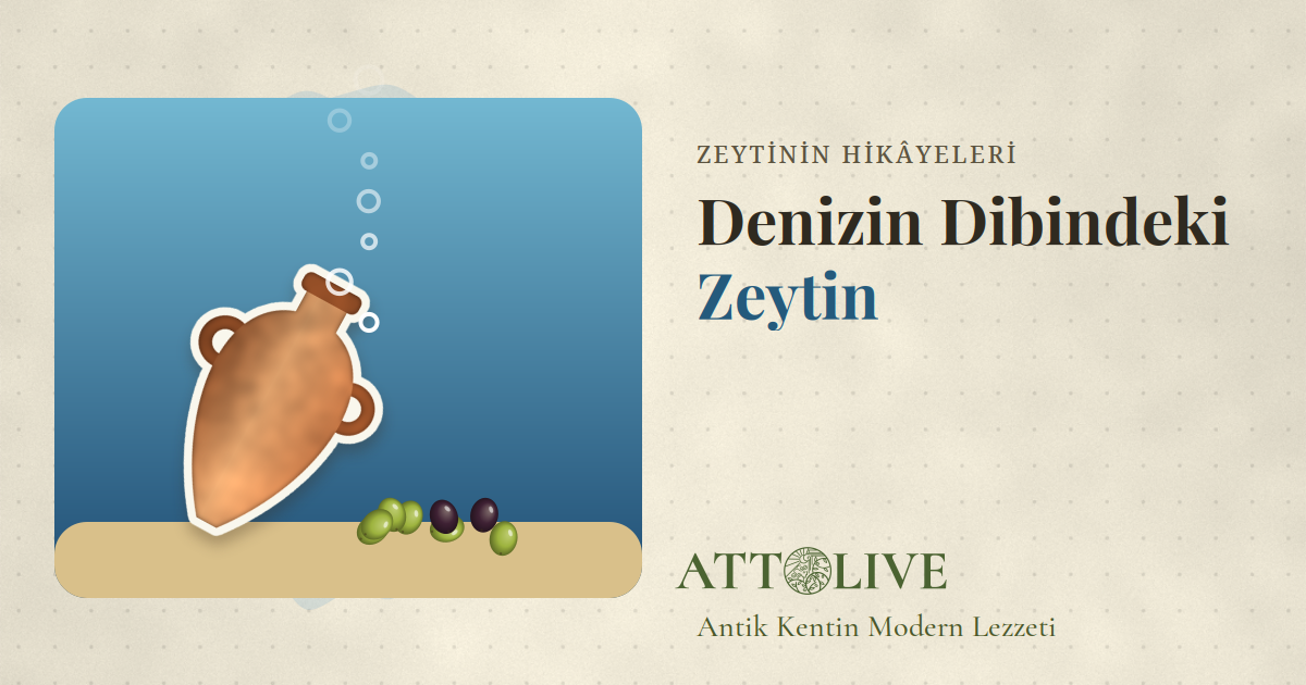 Uluburun Batığı: 3.300 Yıllık Gemiden Çıkan Zeytin