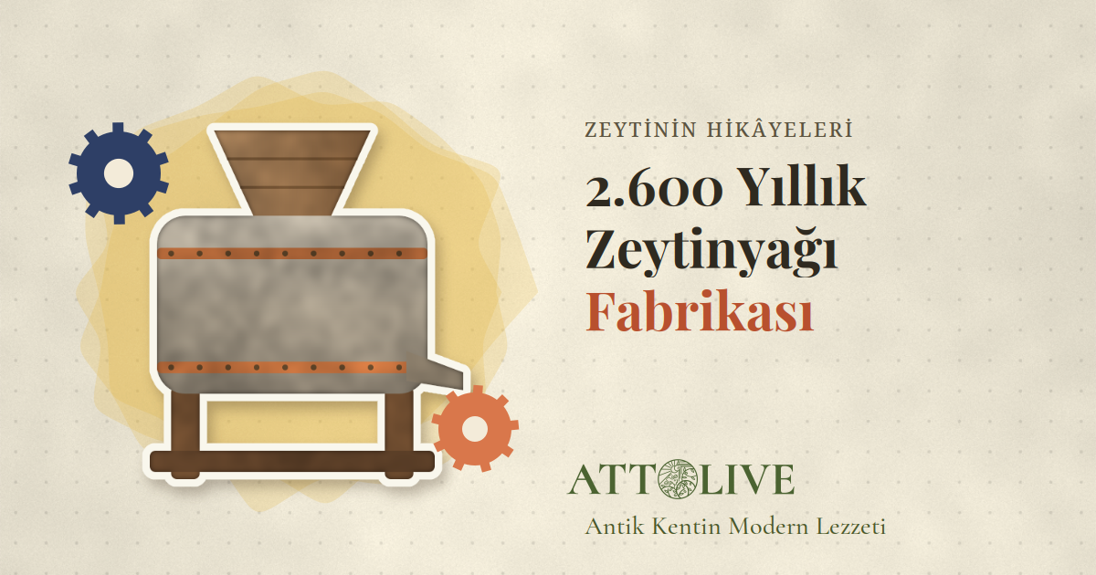 Klazomenai: 2.600 Yıllık Antik Zeytinyağı İşliği