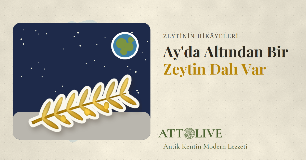 Zeytin Dalı Neden Barışın Simgesi? Ay'daki Altın Dal
