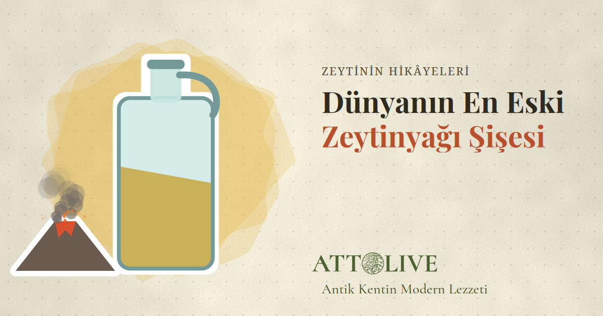 Dünyanın En Eski Zeytinyağı: 2.000 Yıllık Şişe