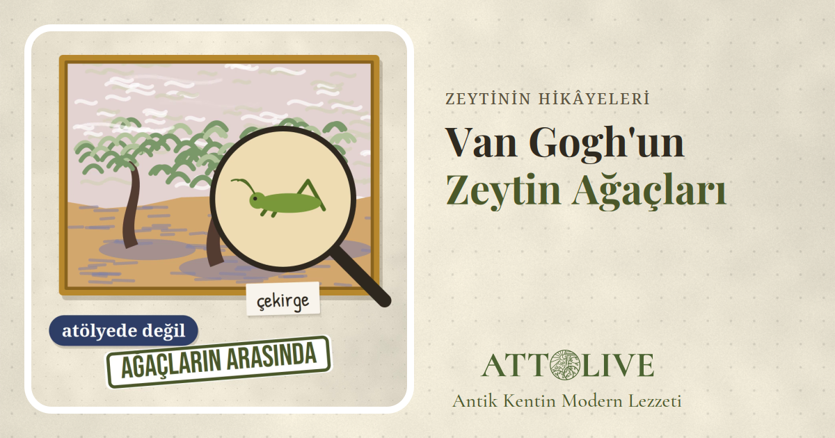 Zeytin ağaçlı bir tablo ve büyüteç altında bir çekirgeyi gösteren çizim