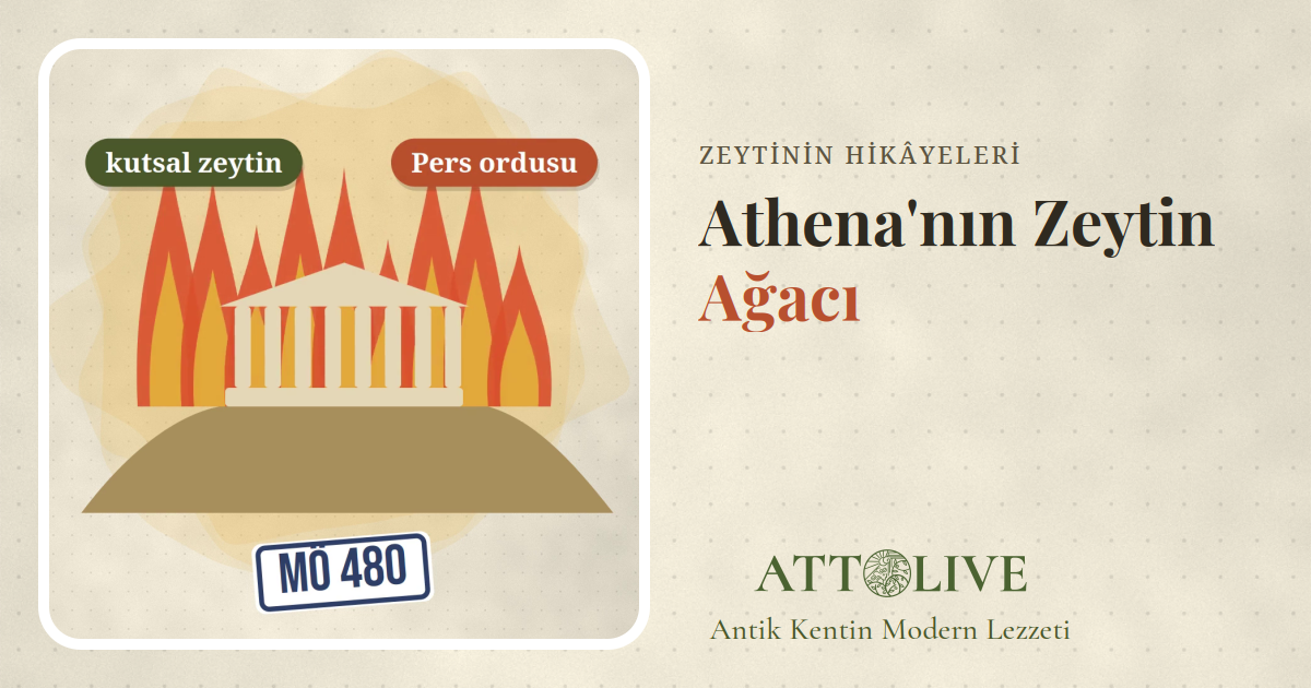 Alevler içindeki Akropolis, kutsal zeytin ve Pers ordusu etiketlerini gösteren çizim