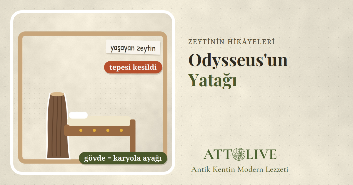 Gövdesi karyola ayağı olarak kullanılan bir zeytin ağacının çevresine kurulmuş yatak çizimi