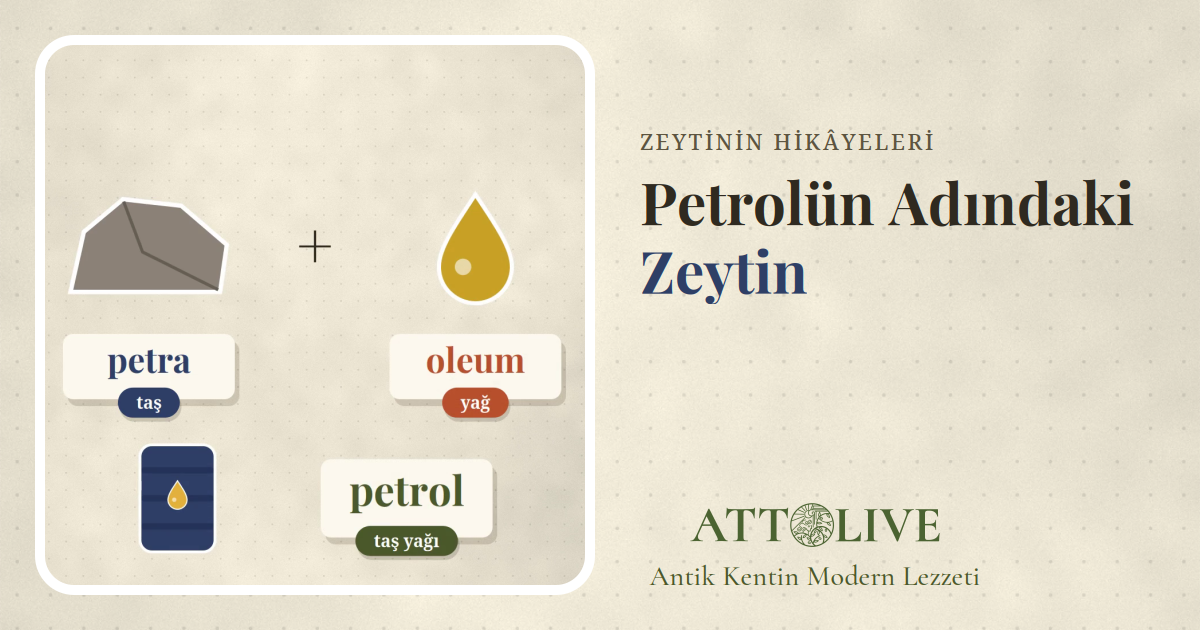 Bir taş, bir yağ damlas�� ve petra, oleum, petrol kelime kartlarını gösteren çizim